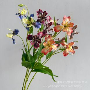���滨�ͮ�3�^С�Sβ ��Ʒ�|�̈������仨�쾰���Ð����z�ָмҾ�