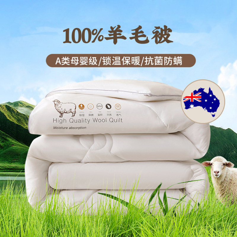 Pure Wool Quilt Core Class a Maternal and Infant Grade Student Dormitory Thickeneded Quilt Autumn and Winter Quilt Cashmere Quilt Gift Quilt Wholesale