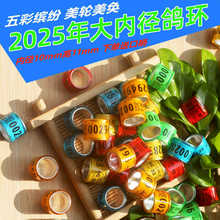 �þ߃ȏ�Ԫ�������������_�h�^�p��2025���������_Ȧ��h��Ʒ���h