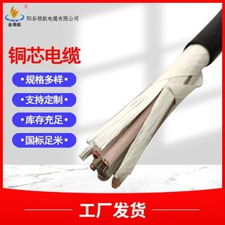 阳谷电缆电力电缆YJV电缆低压纯铜芯电缆线聚氯乙烯绝缘电线电缆