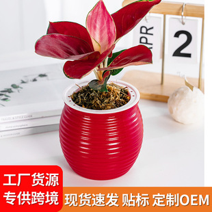 �Ӻ��֬�G�}ˮ��ֲ������m͸�����y��ɫ���������������ˮ����