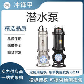 大功率潜水排污泵地下室排水潜污泵三相无堵塞泥浆污物污水泵国网