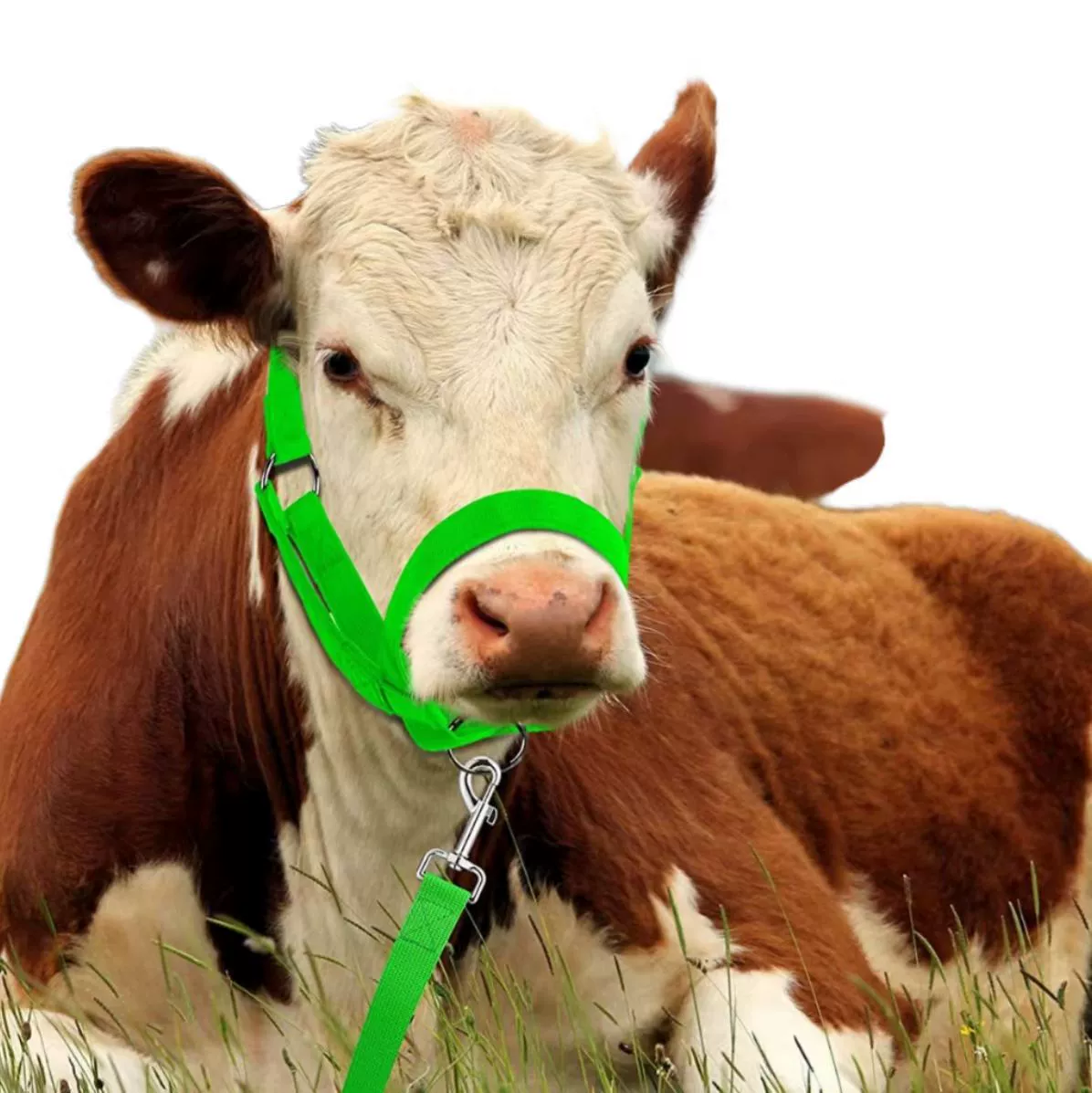 Трансграничные товары для верховой езды, регулируемые упряжи для коров и лошадей, стропы для коров и лошадей, тяговый трос, нейлоновый трос для коров и лошадей