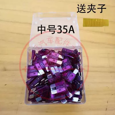 Other Electric Vehicle Accessories Charger Overcurrent Protection Insurance - enhanced-version-100-pieces-medium-size-35a-comes-with-clip