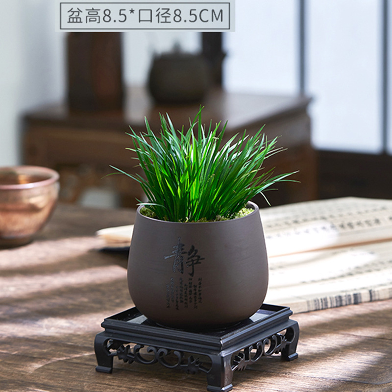 Dinero Acorus acorus bonsai pequeña maceta de oficina decoración de mesa de té modelado Zen迷 interior micro paisaje flor verde