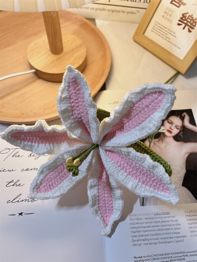 450g Weight Crochet Flowers Home Textiles & Decor Type Artificial Plant Event & Party Supplies 1 Piece Quantity Casual, Home, Daily Occasion yarn Material Flower Pattern Pastoral Style Pastoral Flower Yarn Crochet Flowers Artificial Flowers 7