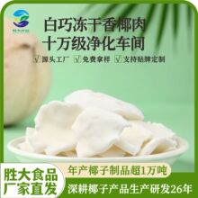 10公斤冻干椰肉块 冻干椰块 冻干香椰块即食烘焙两用椰子肉