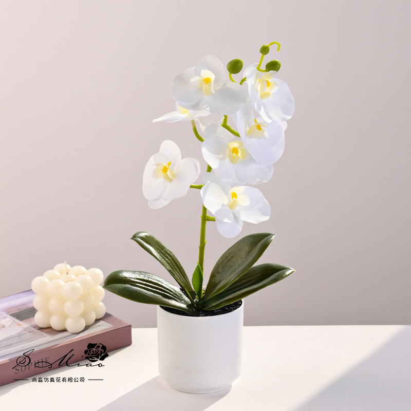 Flor artificial con tacto real, pequeño bonsái de phalaenopsis, flor artificial, adorno decorativo elegante y creativo, planta verde artificial, planta artificial en maceta. image 9