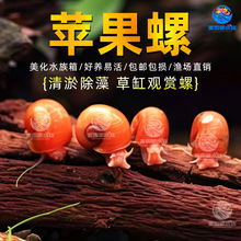 �O���ݳ����������^�p��΁ţ������ˮ�ݸ׳�̦���횈ʳ�坍�ݰ��]