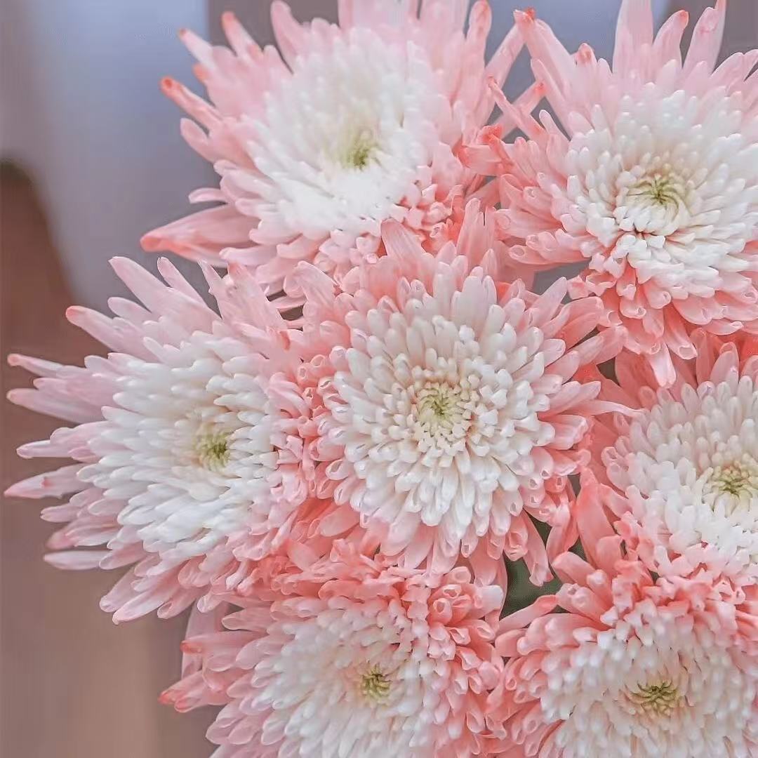 3a39def4033e5606f520ccf7664fc5