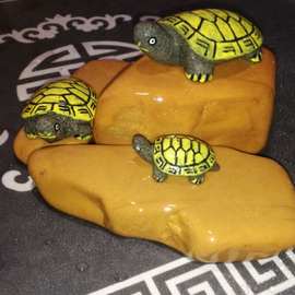 黄蜡石乌龟晒台发色养桥小青巴西龟墨龟造景石南美鱼缸石头包邮