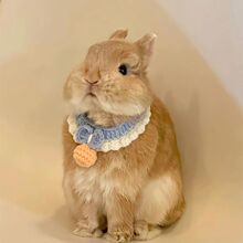 ���Ӈ����ɐ��ֹ�������ˮ��С�����·��������٪���ô������b�