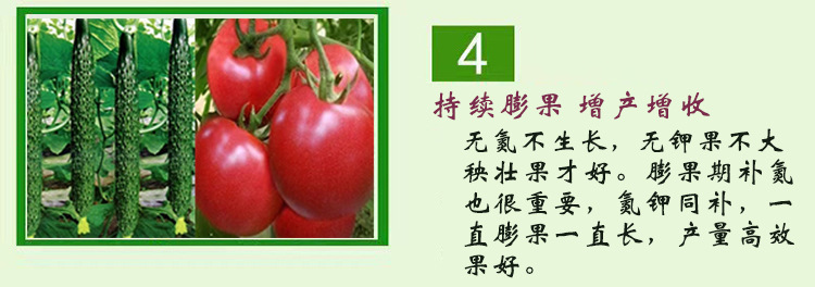 5详情产品特点及功效4