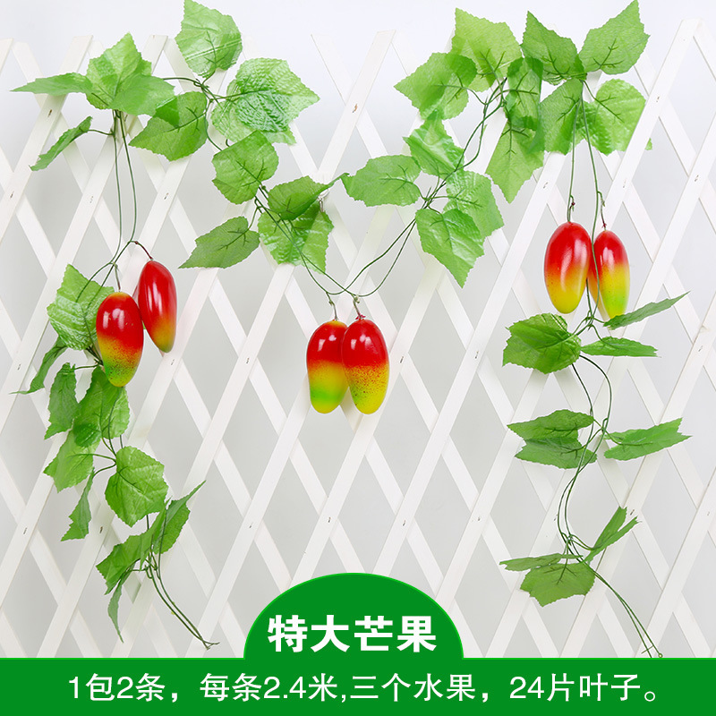 특대 망고 (2팩)