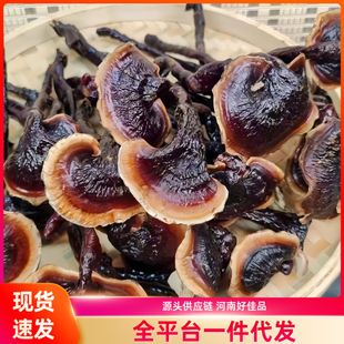 ���`֥��Č���Ʒ�|��؛�o����؛���|���ߺ����I�B���S���ص����a