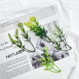 ����Gֲˮ�����3�溣�R�ݽ̎����Y���b������Ʒ��С�������