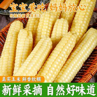 ������p��{ĴָС�������r������Ŵ������ָ��������b��ͯ���