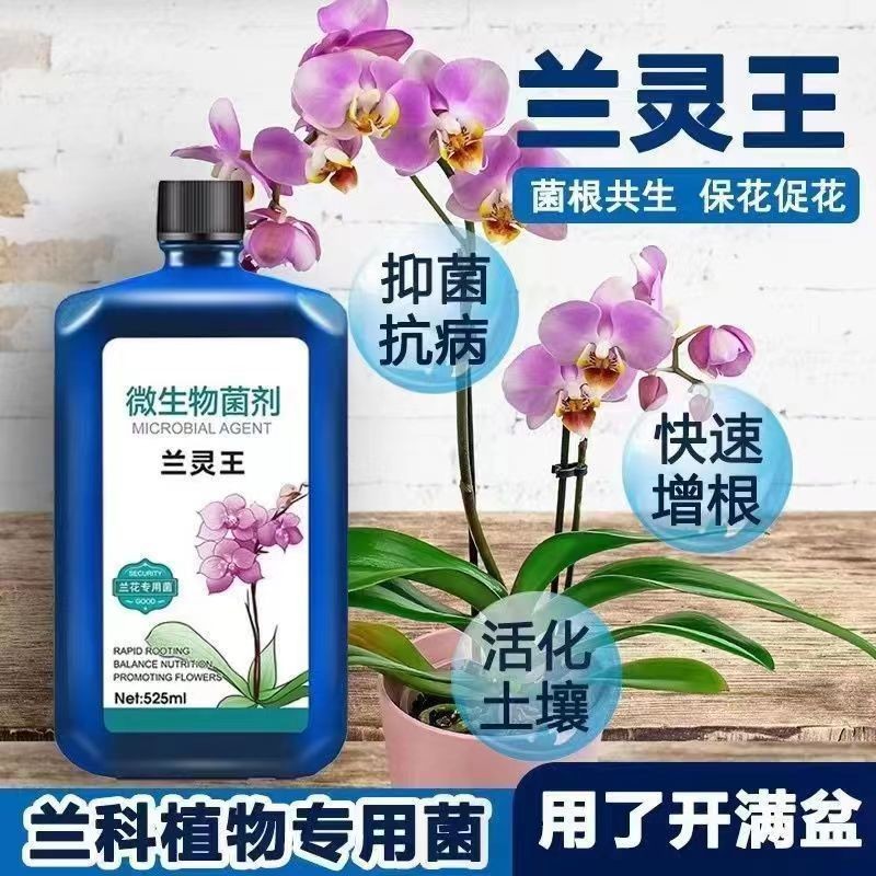 兰灵王兰花专用营养液兰花君子兰肥料生根催芽EM菌液微生物菌肥