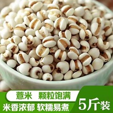 ����؛��޲���״�޲�����F���r������s�Z�ּZ�ඹ�t��޲�����x��