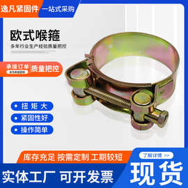 欧式镀锌喉箍卡箍镀彩锌不锈钢喉箍管夹管束抱箍圈卡箍紧固件
