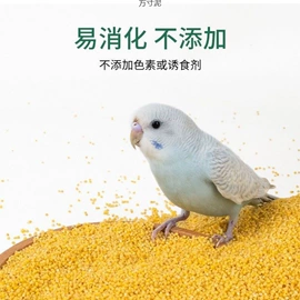 狗狗窝/笼/垫;猫猫玩具;其他小宠用品