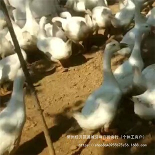 2023�¿��Ԅ�ιʳ�C�S��ֱ�N����ă��u���Z�Ԅ������u���r������