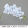 Long model 9 Phalaenopsis 2nd generation silk cloth blue