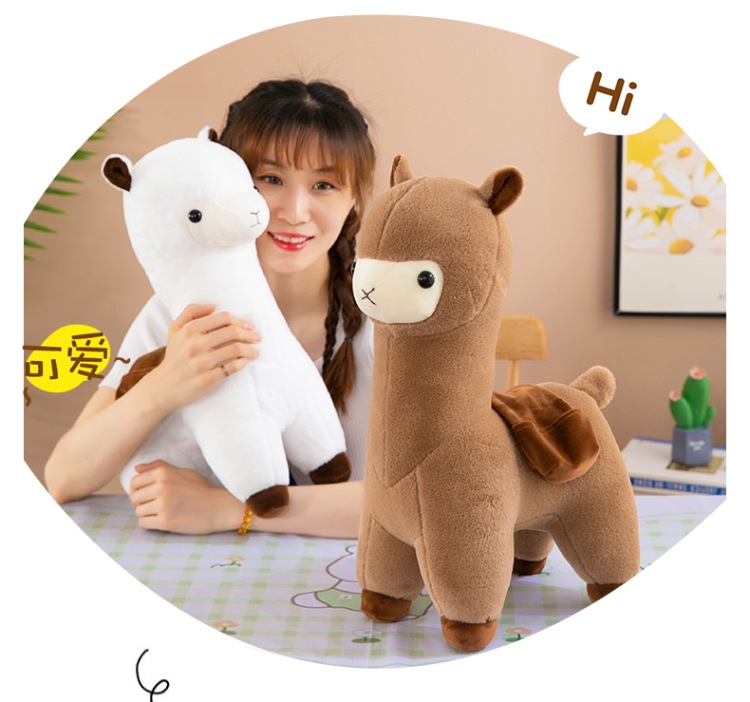 羊驼 (10).jpg