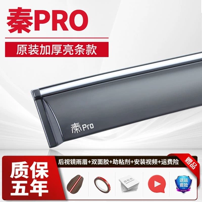Shield L Yuan Pro Rain Guard — Rain shield - 4-pieces-qin-pro-all-versions-electroplated-bright-strips-2-stickers