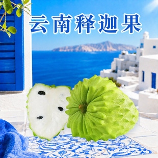 �����ȹ� ���l1��2��3��5��С�д�����^�����������b���rˮ��