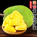 海南新鲜黄肉菠萝蜜水果当季25斤黄肉干苞一件代发仓库供当季爆款