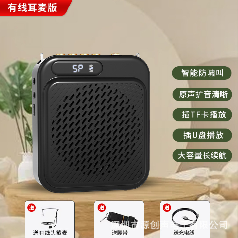 新しいクロスボーダーダブルマイク教師教育リトルビーアンプカード U ディスク Bluetooth プレーヤーガイドマイク|undefined