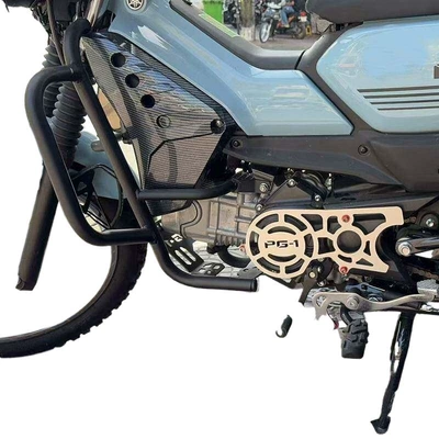 Pg-1Pg1 Modified Chassis: Motorcycle frame