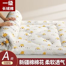 �޻����浥˫�������̵ױ���ѧ������1.5�������1.2�������˯��