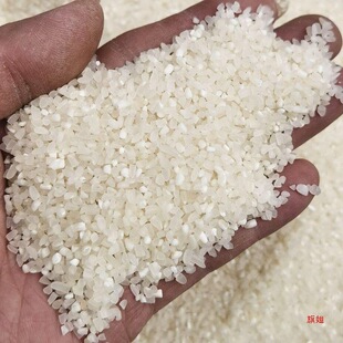 ll�������ι�u�����С���l���Z���i��~�~�D��C�ϏS�������K