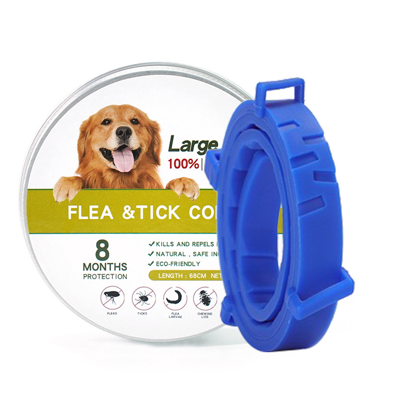 흰색 상자 긴 파란색 칼라