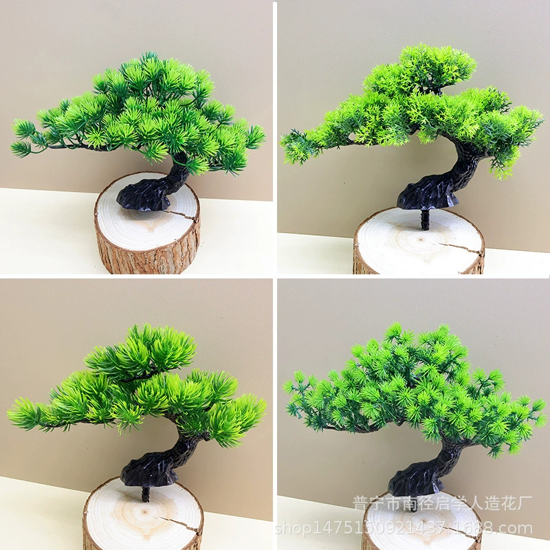 Имитация сосновых игольчатых растений одна красавица сосна приветствует зеленую сосну