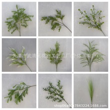 ����Gֲϵ�л�c��Y��ɭϵ�����b���Ȼϵ���컨�ٻ��羳���l