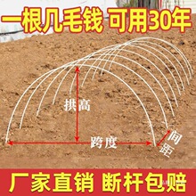 �����w�S����֧���߲ˈ@���Ǵ�ܗU�r�����������ꏗ������