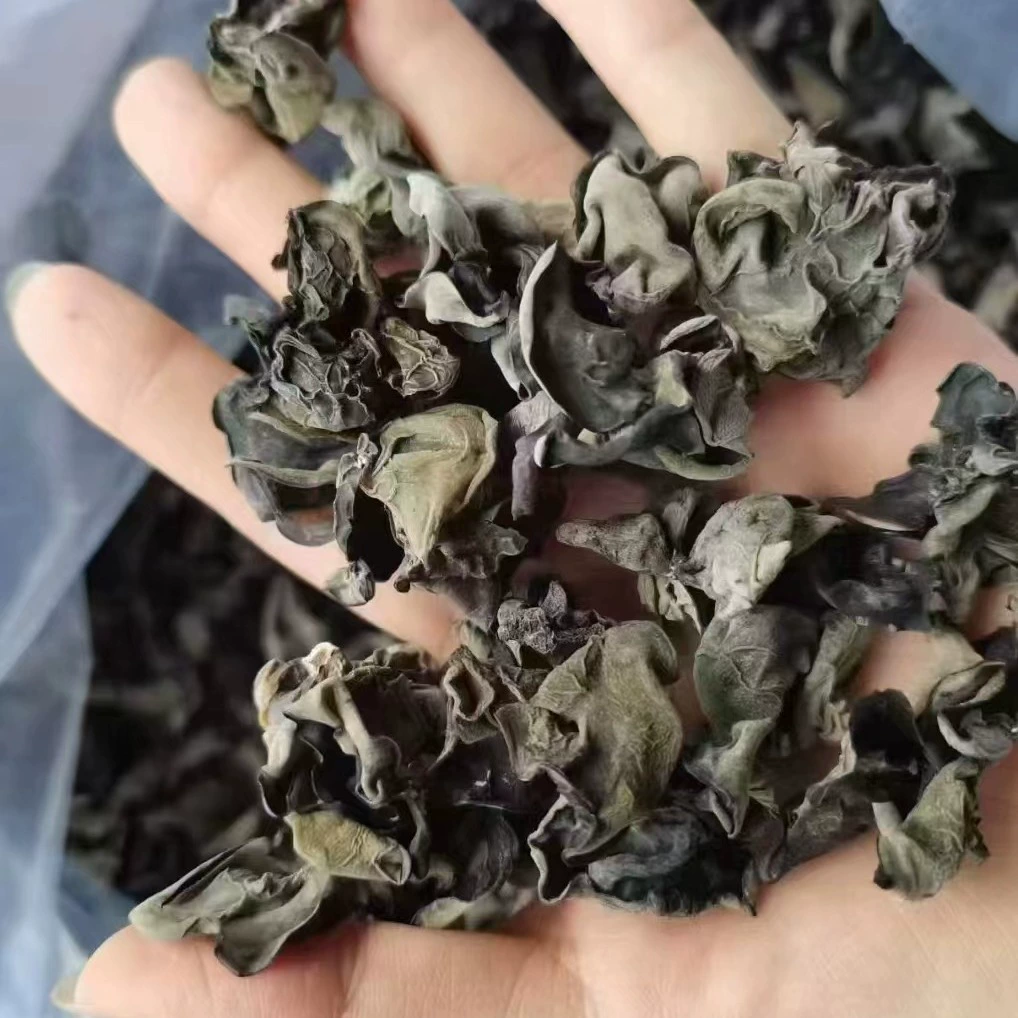 Горячие продажи на прилавках