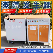 全自动蒸养机桥梁场混凝土全自动蒸汽养护机锅炉燃油蒸汽发生器