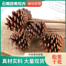 ɹɻ ɻɹҾӼbbdiy[ 󃞻