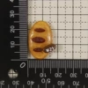Pure Bear【Bread】