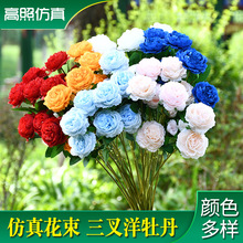 �Wʽ3�^��ĵ�����滨����õ���c�����b��üٻ�����ĵ����֦