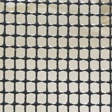 ƸWW۲ TܾWˡɁӶ