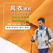 圣汇 75DT800平纹面料 砂洗弹力全涤棉感桃皮绒风衣面料 裤装布料