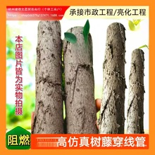 ���ٴ������@�����ܛ�������b�Ƥ��늾���|�o�׹ܽ���