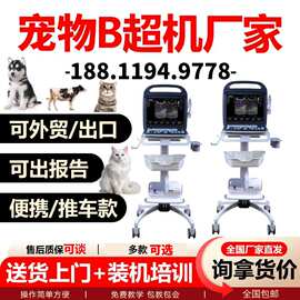 宠物便携款式国产彩超兽用推车式/便携式国产彩超 彩超B超机图片