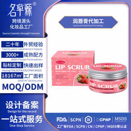 外贸亚马逊定制Lip Scrub 润唇膏滋润保湿嘴部护理润唇膏贴牌OEM