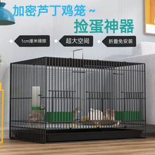 �J���u�����Bֳ���ü��ܴ�̖�u�\�r�u�r���\�g��� ���С�͌���\